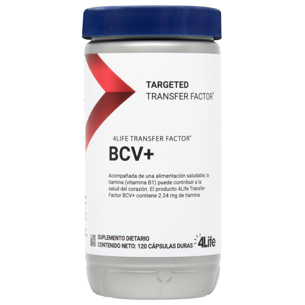 Energy Factores de Transferencia 4life